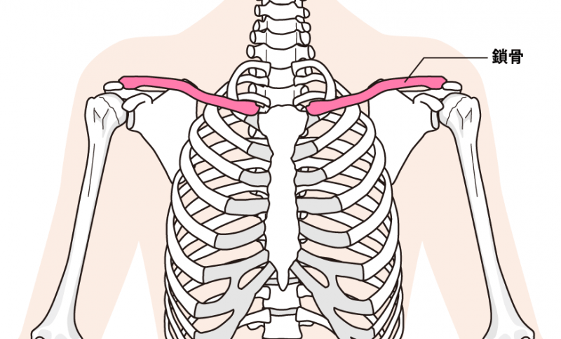 肩や腕の痛みと鎖骨の関係